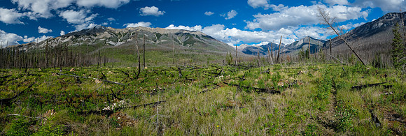 Views back to a giant Mount Shanks.