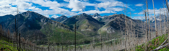 Views back over the Simpson River to Octopus, Lachine, Needle and Split Peak. Wardle at right.