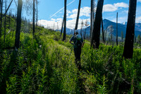 Hiking the Simpson River Trail.
