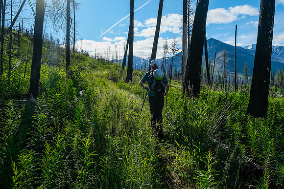 Hiking the Simpson River Trail.