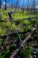 Ascending the south end of Mount Shanks through the open burn.