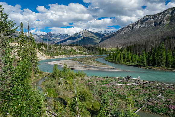 The lovely Simpson River.