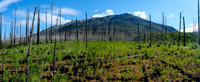 Hiking the Simpson River Trail with views to a distant Mount Shanks.