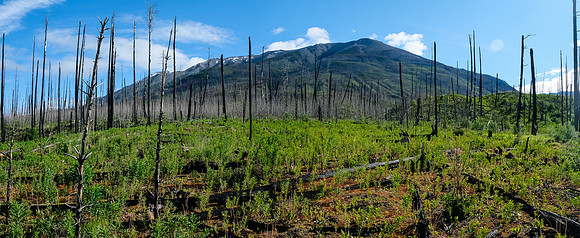 Hiking the Simpson River Trail with views to a distant Mount Shanks.