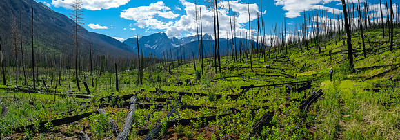 Hiking back along the Simpson River on the Simpson River Trail.