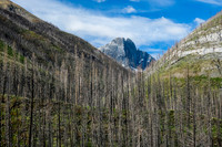 Split Peak.