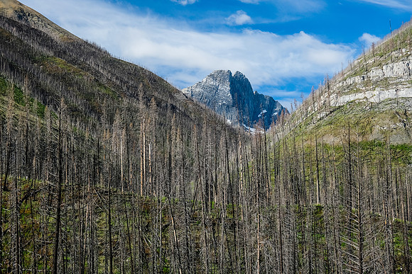 Split Peak.