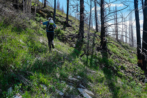 Ascending past the avy gully.