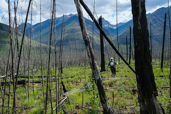 Descending the burn back to the Simpson River Trail.