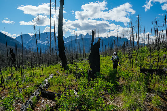 Hiking back along the Simpson River on the Simpson River Trail.