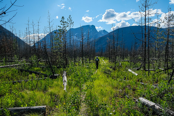 Hiking back along the Simpson River on the Simpson River Trail.