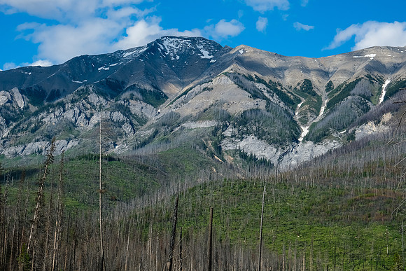 Mount Shanks with the western cliffs visible.