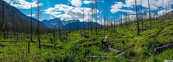 Hiking back along the Simpson River on the Simpson River Trail.