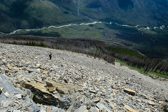 Descending back to the avalanche path.