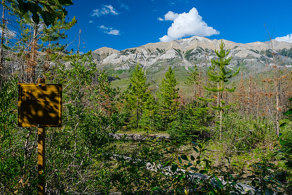 The old lookout site is the "Mount Shanks Trail" - and is decommissioned.