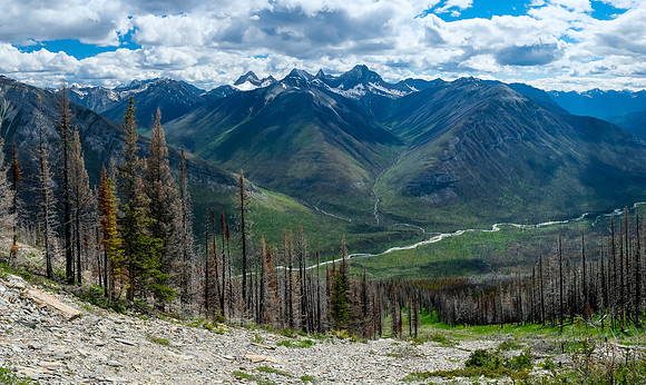 Descending back to the avalanche path.