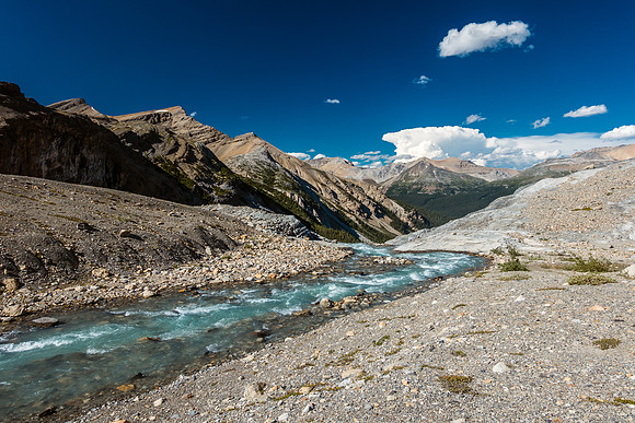 The outflow stream from Iceberg Lake.