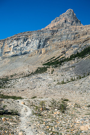 Looking up at Portal Peak from the Bow Glacier Falls trail. You can spot the small waterfall that I aimed for by the highest patch of greenery on the right.