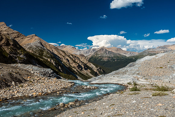 The outflow stream from Iceberg Lake.