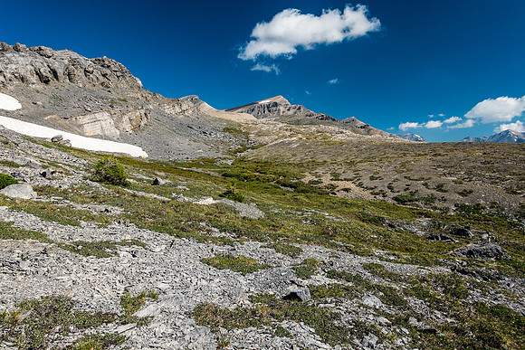 Alpine Meadows towards Jimmy Simpson.