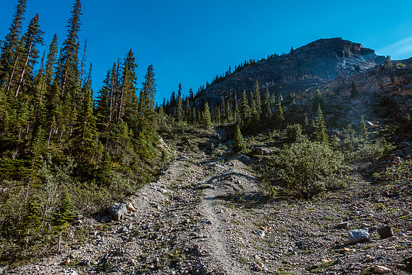 Looking back up at the terrain I descended.