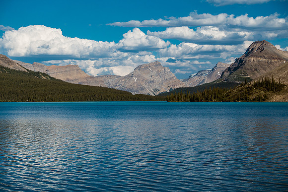 Bow Peak over Bow Lake.