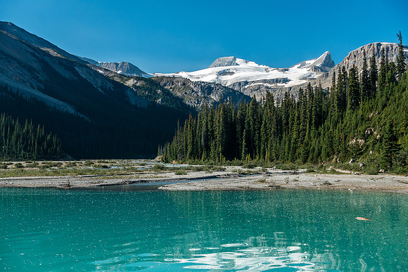 Mount Olive and St. Nicholas over Bow Lake.