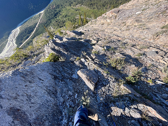 Ascending the SE ridge from the SE gully to the mid-slope trees.