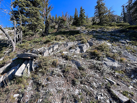 Ascending through the mid-slope SE forest.