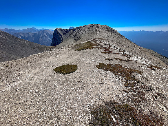 Traversing from the upper SW face to the top of the SE ridge.