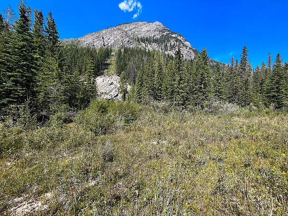 Descending the SE avalanche slope back to the hwy.