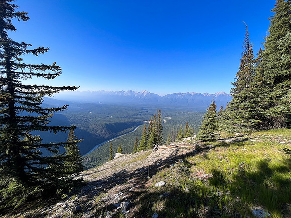Ascending through the mid-slope SE forest.
