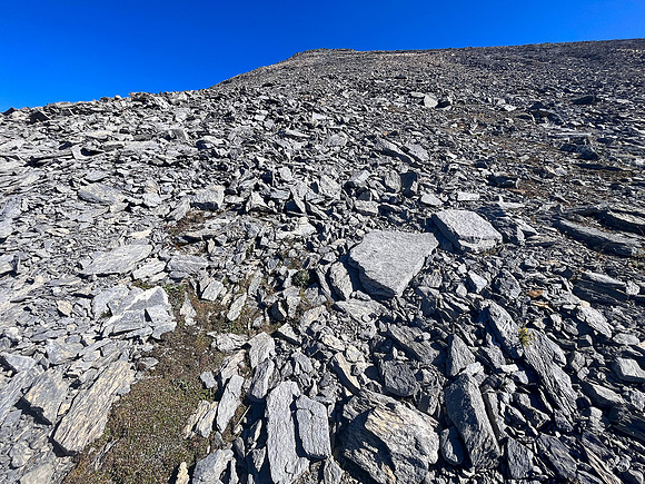 Ascending the upper SW face of Mount Wardle.