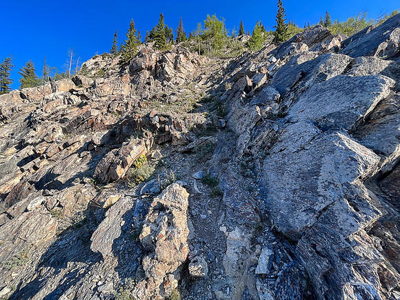 Ascending the SE ridge from the SE gully to the mid-slope trees.