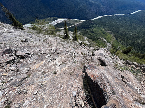Descending the upper SE ridge back to the mid-slope forest.