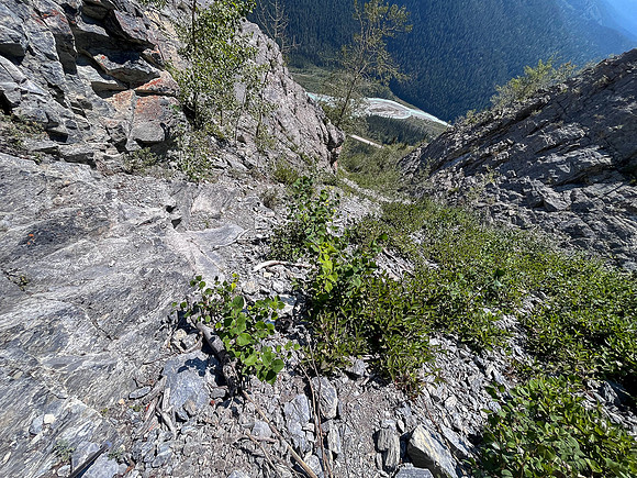 Descending the SE gully back to the hwy.