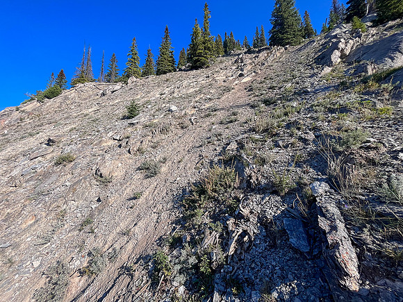 Ascending the SE ridge from the SE gully to the mid-slope trees.