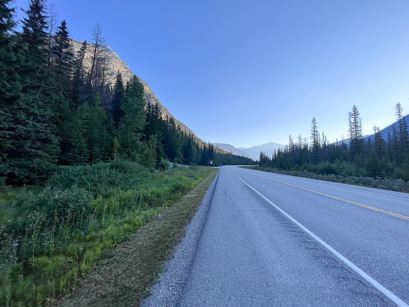 Walking back to the goat lick along the Radium hwy.