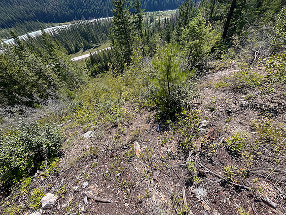 Descending the SE avalanche slope back to the hwy.