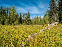 Fall is definitely in the air as we continue off-trail towards The Ramparts.