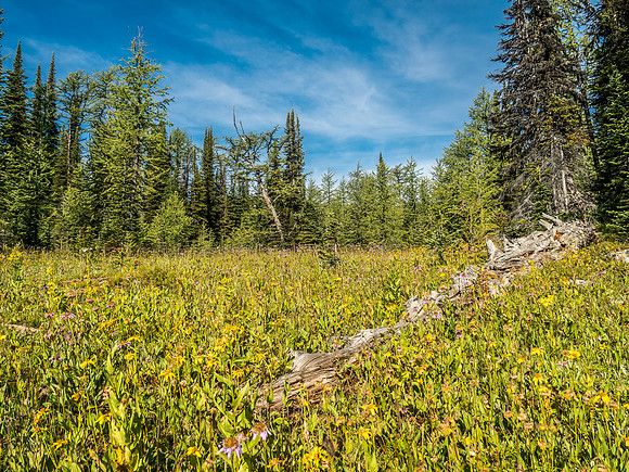 Fall is definitely in the air as we continue off-trail towards The Ramparts.