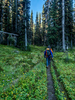Lovely hiking to Simpson Pass.