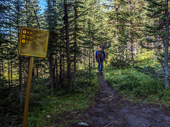 Taking the trail towards Eohippus Lake.