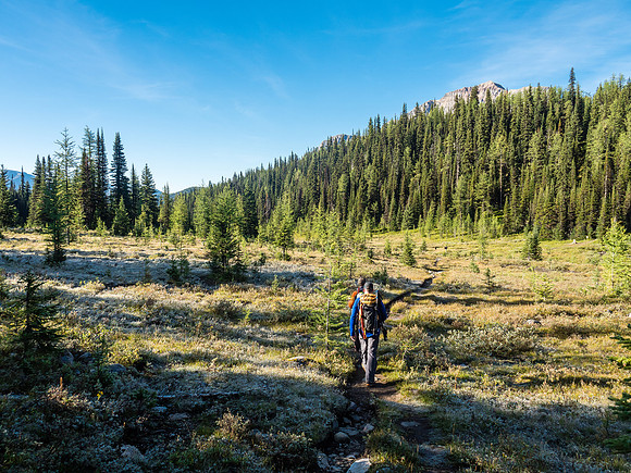 Note the frost at Simpson Pass! There are two border markers here as well. The Monarch is just barely visible over the trees.