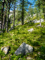 Nearing the ramp leading up to the Ramparts now - and the trail from Eohippus Lake.