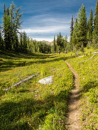 Back on a 'proper' trail.