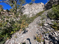 Ascending the steep SE gully.