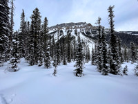 Following the skin track up Chickadee Valley.