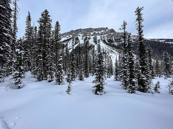 Following the skin track up Chickadee Valley.
