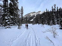 Following the skin track up Chickadee Valley.